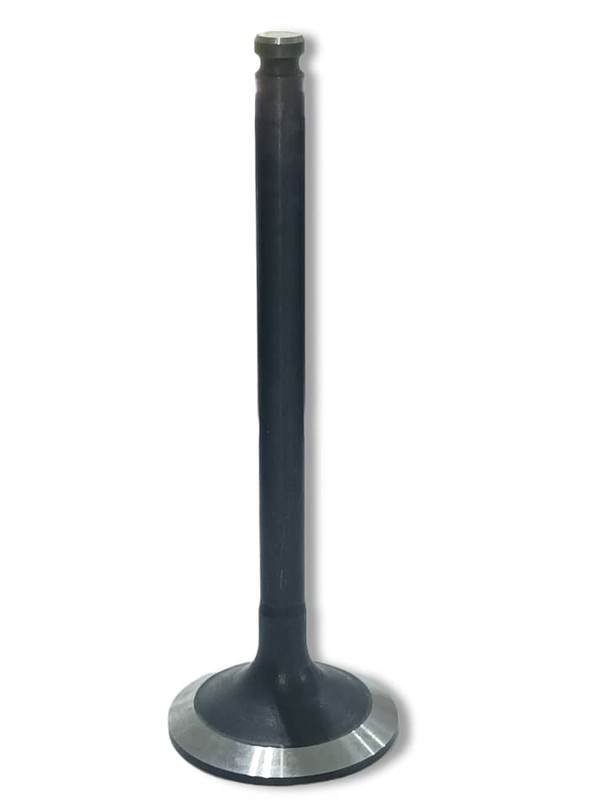 VALVULA ADMISION MOTOR IVECO DAILY / 50.12